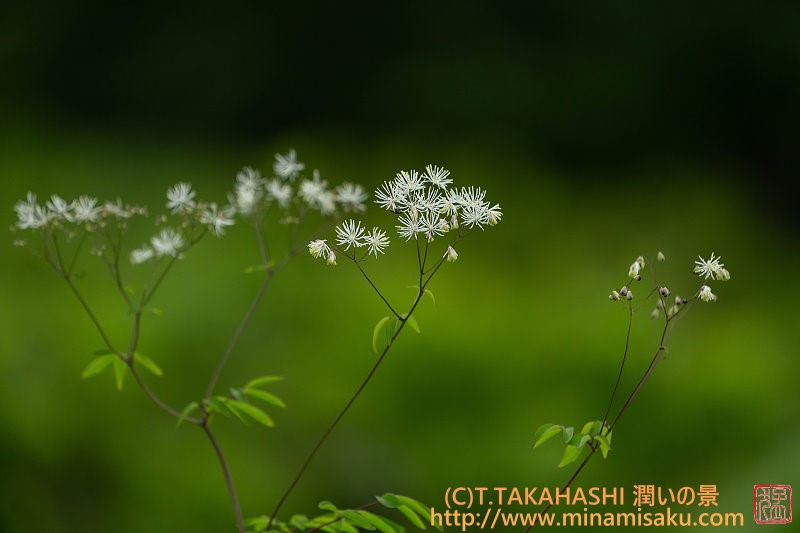 ../Images/7R250727 (280).jpg